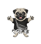 Tシャツ着たパグの毎日使えるスタンプ（個別スタンプ：8）