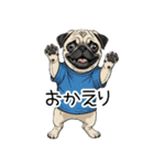Tシャツ着たパグの毎日使えるスタンプ（個別スタンプ：9）