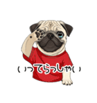 Tシャツ着たパグの毎日使えるスタンプ（個別スタンプ：10）