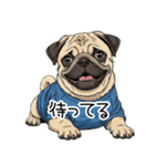 Tシャツ着たパグの毎日使えるスタンプ（個別スタンプ：11）