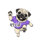 Tシャツ着たパグの毎日使えるスタンプ（個別スタンプ：12）