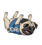 Tシャツ着たパグの毎日使えるスタンプ（個別スタンプ：15）