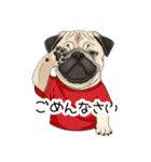 Tシャツ着たパグの毎日使えるスタンプ（個別スタンプ：18）