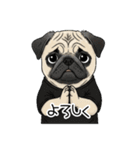 Tシャツ着たパグの毎日使えるスタンプ（個別スタンプ：19）