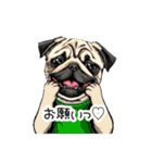 Tシャツ着たパグの毎日使えるスタンプ（個別スタンプ：22）