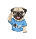 Tシャツ着たパグの毎日使えるスタンプ（個別スタンプ：23）