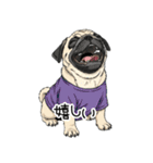 Tシャツ着たパグの毎日使えるスタンプ（個別スタンプ：25）