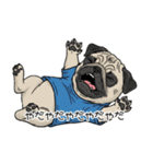 Tシャツ着たパグの毎日使えるスタンプ（個別スタンプ：26）
