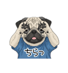 Tシャツ着たパグの毎日使えるスタンプ（個別スタンプ：31）