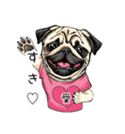 Tシャツ着たパグの毎日使えるスタンプ（個別スタンプ：33）