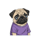 Tシャツ着たパグの毎日使えるスタンプ（個別スタンプ：35）