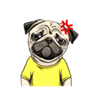 Tシャツ着たパグの毎日使えるスタンプ（個別スタンプ：36）