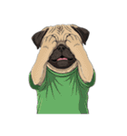 Tシャツ着たパグの毎日使えるスタンプ（個別スタンプ：37）