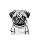 Tシャツ着たパグの毎日使えるスタンプ（個別スタンプ：40）