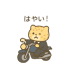 可愛い動物達の探偵ごっこ 日本語（個別スタンプ：19）