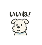 ゆるゆるミニシュナ（個別スタンプ：14）