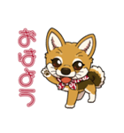 豆柴の蘭ちゃん（個別スタンプ：1）