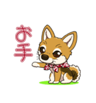 豆柴の蘭ちゃん（個別スタンプ：8）