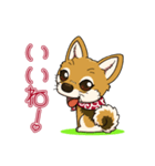 豆柴の蘭ちゃん（個別スタンプ：9）