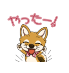 豆柴の蘭ちゃん（個別スタンプ：10）