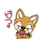 豆柴の蘭ちゃん（個別スタンプ：11）