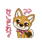 豆柴の蘭ちゃん（個別スタンプ：12）