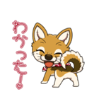 豆柴の蘭ちゃん（個別スタンプ：13）
