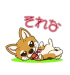 豆柴の蘭ちゃん（個別スタンプ：15）