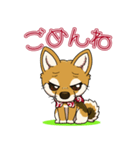 豆柴の蘭ちゃん（個別スタンプ：17）