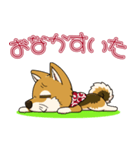 豆柴の蘭ちゃん（個別スタンプ：20）