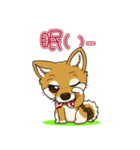 豆柴の蘭ちゃん（個別スタンプ：21）