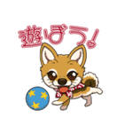 豆柴の蘭ちゃん（個別スタンプ：22）