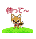 豆柴の蘭ちゃん（個別スタンプ：23）