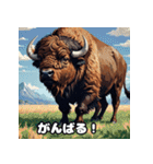 のんびりバッファロー（個別スタンプ：9）