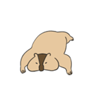 可愛い愛しいマーモット（個別スタンプ：11）