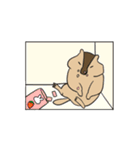 可愛い愛しいマーモット（個別スタンプ：14）