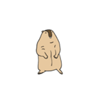 可愛い愛しいマーモット（個別スタンプ：20）
