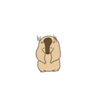 可愛い愛しいマーモット（個別スタンプ：40）