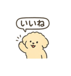 ふわふわシュールわんこ — 日常スタンプ（個別スタンプ：7）