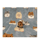 ふみちゃんたち（個別スタンプ：28）