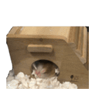 ふみちゃんたち（個別スタンプ：32）