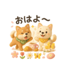 ふわふわ柴犬の春スタンプ（個別スタンプ：1）
