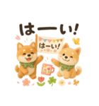 ふわふわ柴犬の春スタンプ（個別スタンプ：6）