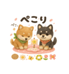 ふわふわ柴犬の春スタンプ（個別スタンプ：13）