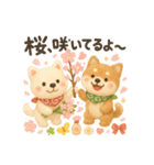 ふわふわ柴犬の春スタンプ（個別スタンプ：19）