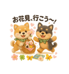 ふわふわ柴犬の春スタンプ（個別スタンプ：20）