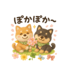 ふわふわ柴犬の春スタンプ（個別スタンプ：21）