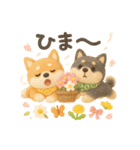 ふわふわ柴犬の春スタンプ（個別スタンプ：23）
