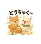 ふわふわ柴犬の春スタンプ（個別スタンプ：26）