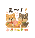 ふわふわ柴犬の春スタンプ（個別スタンプ：31）